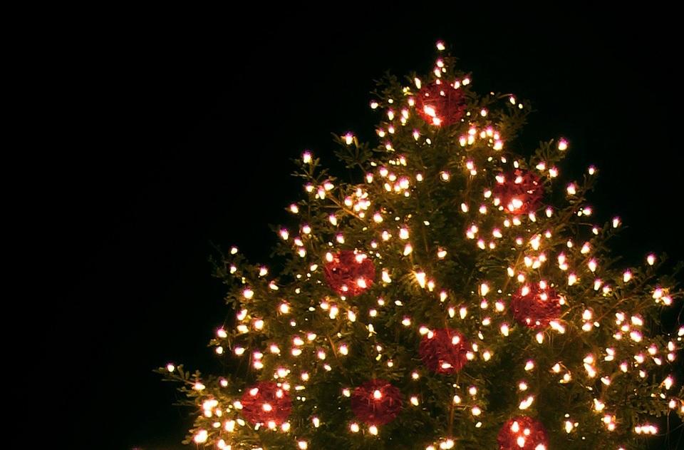 Christmas Tree Lighting and Laser Light Show Seattle Area Family Fun